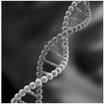 Genetic structures Deoxyribonucleic acid (DNA) - circular