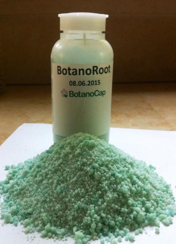 BotanoRoot tm Technical Overview BotanoRoot tm is the product of choice for effective and fast rooting of herbaceous and woody - cuttings, and
