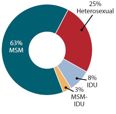 Figure 13. Estimated Recent HIV Infections by Transmission Category, Alabama 2014 and United States 2010 Alabama, 2014 United States, 2010 18.9% Heterosexual 75.5 MSM 3.9% IDU 1.