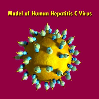 Hepatitis C Virus Blood Borne Virus Discovered in 1989 Previously significant cause of