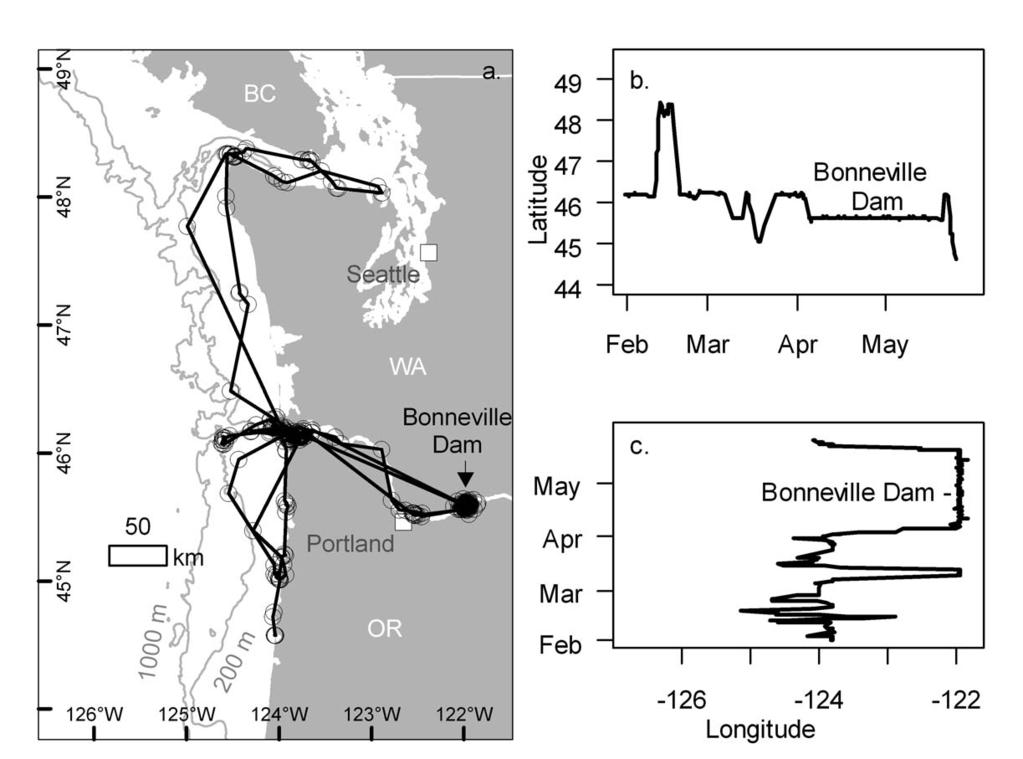 Figure 4. (a) Movement path, and (b) latitudinal and (c) longitudinal movement profiles for C265, a river -type California sea lion tracked from 1 February 2007 to 25 May 2007.