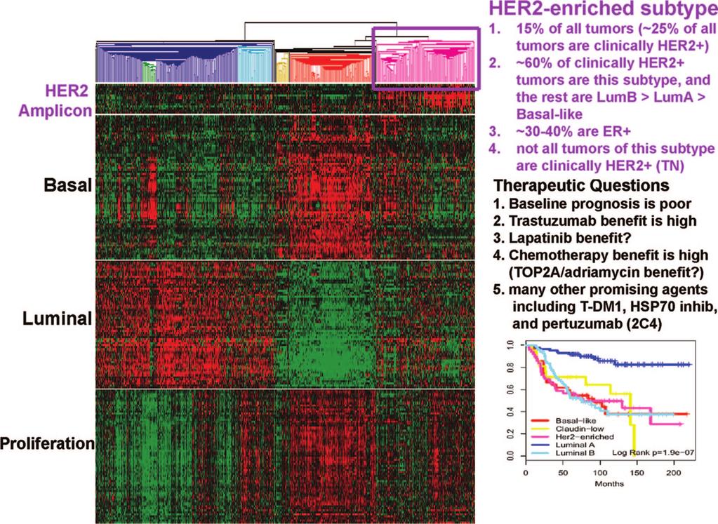 62 Molecular Stratification of Triple-Negative Breast Cancers Figure 1. Cluster diagram of breast cancer subtypes highlighting the HER-2-enriched subtype.