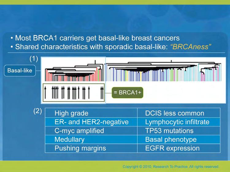 Basal-like Breast Cancer and BRCA1 (1)