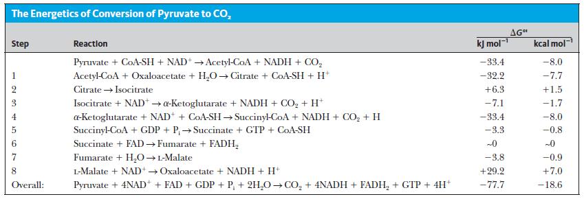 The citric acid cycle is less active when a cell has a high ATP/ADP ratio and a high NADH/NAD+ ratio.