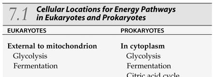 B. An Overview: Releasing Energy from Glucose In eukaryotes, glycolysis and fermentation occur in the cytoplasm outside of the