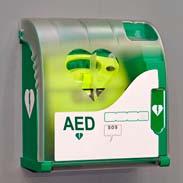 Accessories such as electrodes, used with a defibrillator to assess the patient and deliver therapy, are also medical devices. If supplied separately they must also bear the CE mark.
