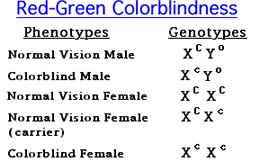 Colorblindness (red-green) X C =Normal