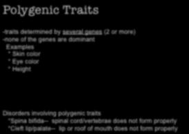 Polygenic Traits -traits
