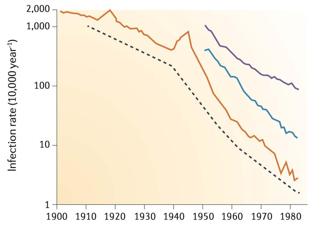 TB incidence decline in the Netherlands Chemotherapy