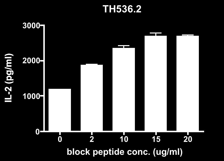 hybridoma responses IL-2 produced by T hybridoma TH206 (A), TH536.