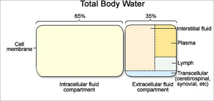 Water Balance by Dr Paul Kemp Osmolarity is a measure of the solute concentration in a solution (osmoles/litre). 1 osmole is 1 mole of dissolved solutes per litre.