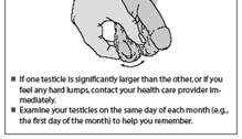 Testicular Cancer Identify testicular cancer early; ask client if any change in size of testicles