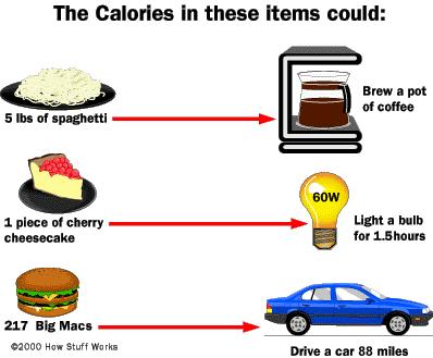 9.1 CHEMICAL PATHWAYS A calorie is the amount of energy needed to raise the temperature of 1