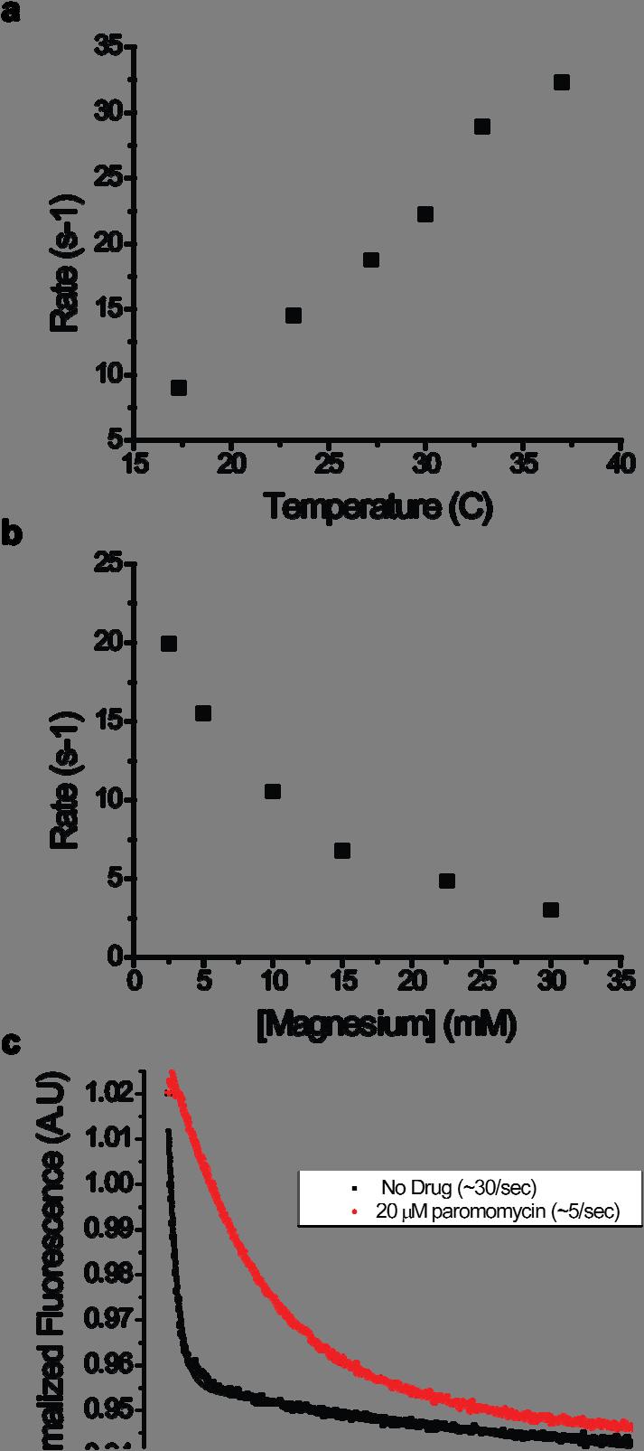 Supplementary Figure 10: Experimental temperature and buffer conditions have predictable effects on translocation.