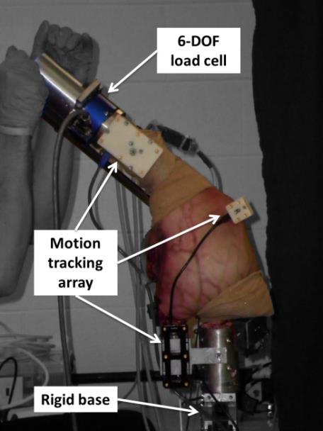 6 DOF load cell Motion tracking arrays Rigid base Figure 2.4 Passive joint laxity experiments performed by (Harris et al.