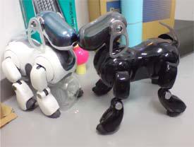 Left Fig. 3. The processing in the black AIBO.
