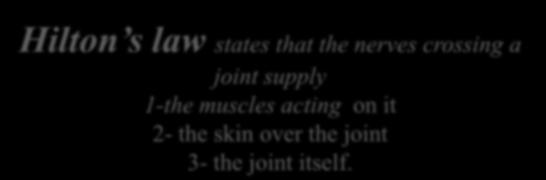 on it 2- the skin over the joint 3- the joint itself.