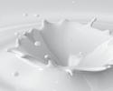 PROTEINS & AMINO ACIDS MILK Milk Tein NPNF Amino Oat NPNF OAT Hydrolyzed Milk Protein Oat Amino Acids Oat Tein NPNF Hydrolyzed Oat Protein OIL SOLUBLE Proto-Lan 8 Lecithin, Butyl Stearate, Cocoyl