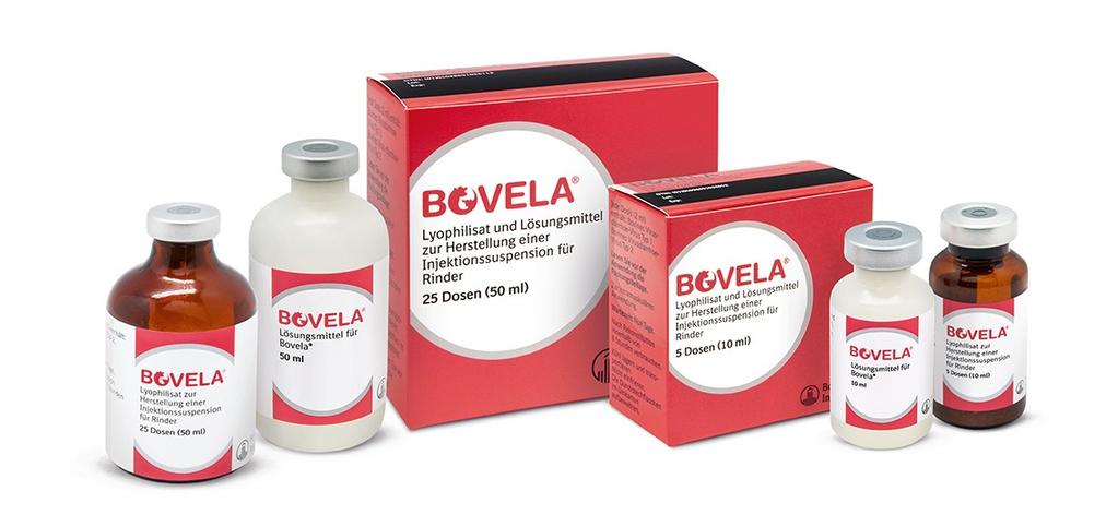 Bovela modified live bovine viral diarrhoea virus type 1, non-cytopathic parent strain
