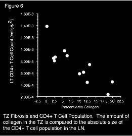 The size of the CD4 population in LN correlates to the amount of
