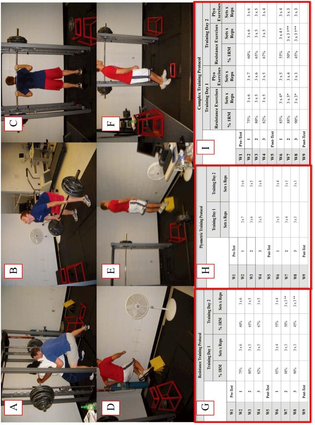 MacDonald et al. A comparison of the effects of six weeks of traditional resistance training, plyometric training, and complex training on measures of power 15 Figure 1 Figure 1A.