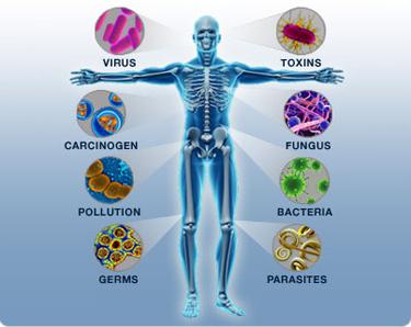 IT S NOT ALWAYS ENOUGH Our bodies are under attack We are constantly surrounded by millions of germs and bacteria Other factors also weaken our bodies