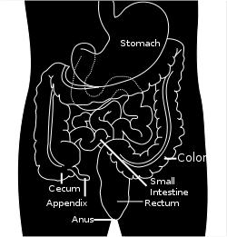 Background Deep enteroscopy: the entire small bowel can (potentially) be visualized Deep capsule endoscopy Deep flexible enteroscopy Balloon enteroscopy
