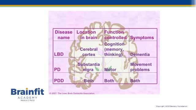 Slide 6 Lewy Body Dementia is characterised by the presence of Lewy Bodies abnormal clumps of protein in the brain. These develop within the cells.