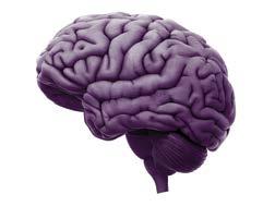 Frontal Lobe Damage is caused by the death of nerve cells within these lobes, due to the lack of sufficient chemical messengers between them.