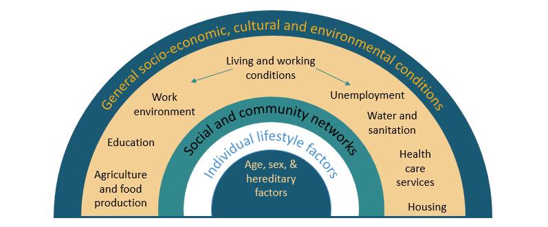Figure 2: Social Determinants of Health Framework Source: World Health Organization, Commission on the Social Determinants of Health, Towards a Conceptual Framework for Analysis and Action on the