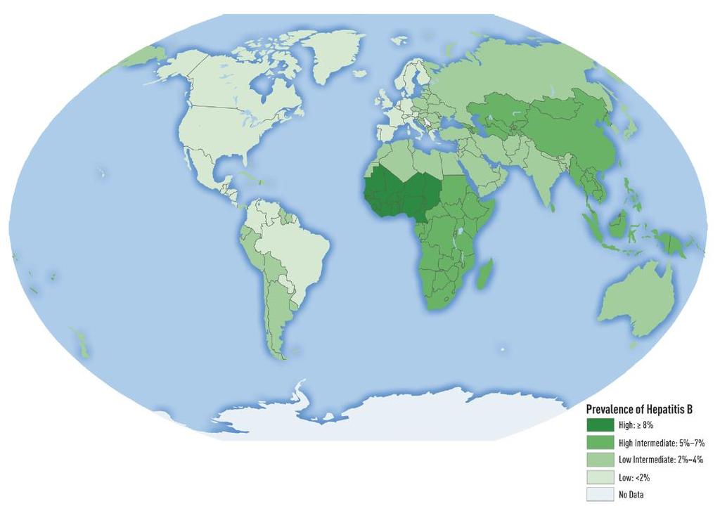 Global prevalence of chronic hepatitis B (adults) Globally, hepatitis B is one of the most common infectious diseases WHO