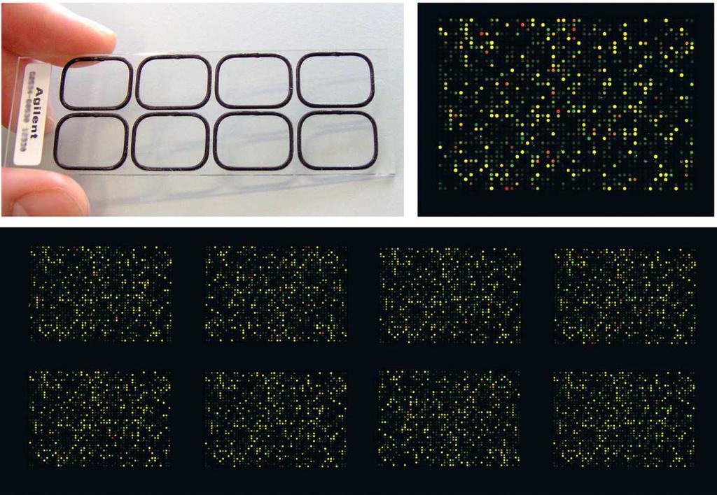 ability to monitor the expression levels of thousands of genes / the whole genome in a single microarray Microarray methods require a combination of biological, mathematical and