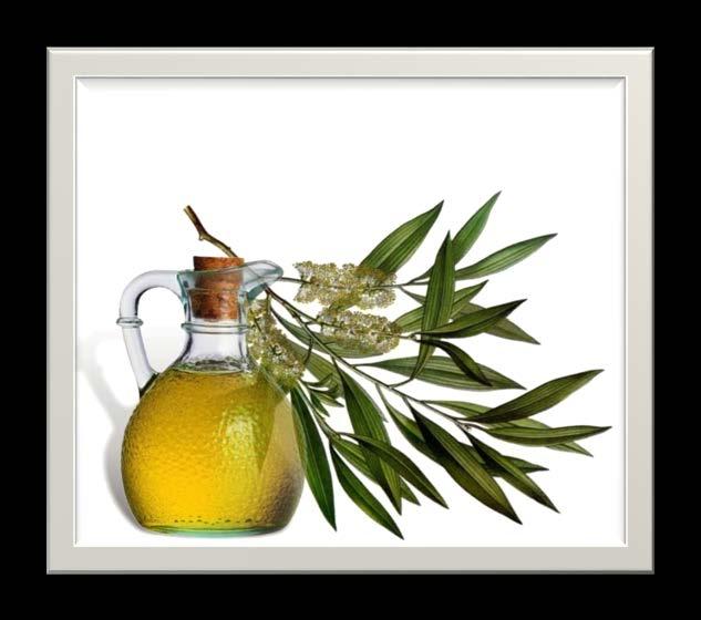 TEA TREE OIL Works to heal skin conditions, burns, and also works as an insecticide.