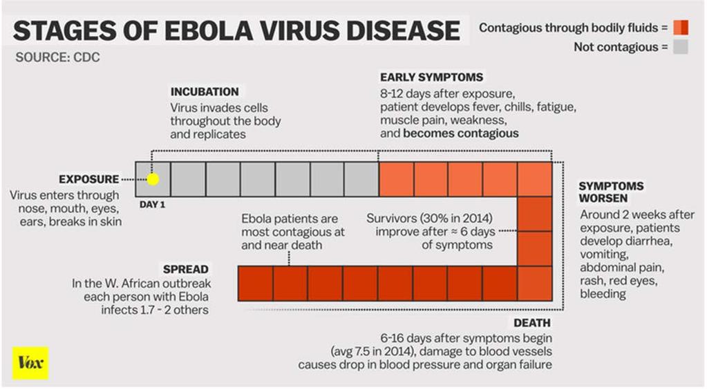 Ebola Stages of Illness 1) The virus enters the body through a break in the skin or through a mucous membrane.