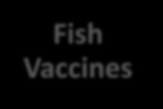 Biological Products Fish Vaccines SRS,