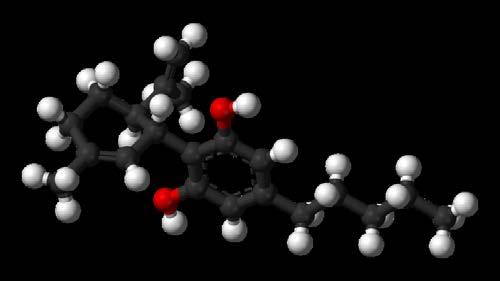 , 2008) Delta-9-tetrahydrocannabinol (THC) * Cannabidiol (CBD)
