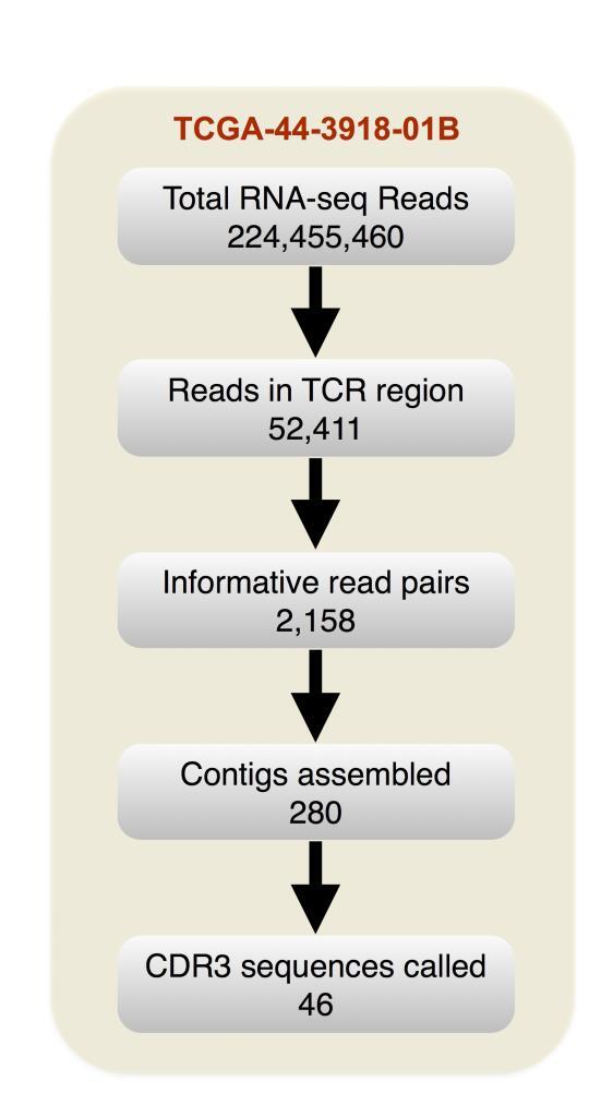 Supplementary Figure 2 Number of reads/contigs at each step of the CDR3 assembly method.