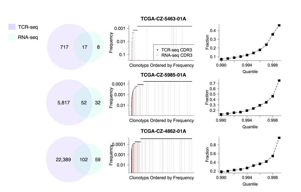 Supplementary Figure 3 Method evaluation using TCGA tumors profiled with both TCR sequencing and RNA-seq. Left, relationship between CDR3 transcripts called from TCR-seq and RNA-seq data.
