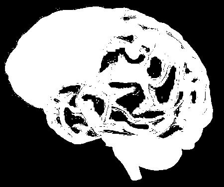 Frontal Lobe The frontal lobe is the area of the brain responsible for higher cognitive functions.