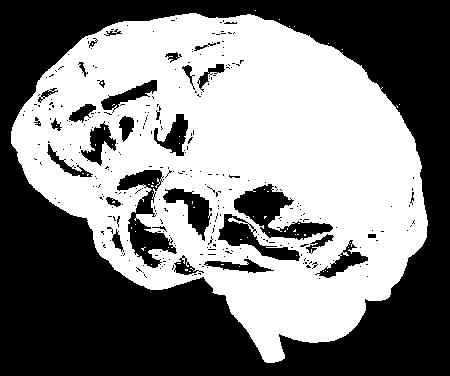 Parietal Lobe The parietal lobe plays a role in our sensations of touch, smell, and taste.