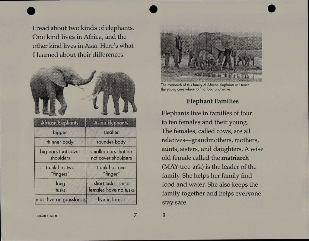 I read about two kinds of elephants. One kind lives in Africa, and the other kind lives in Asia. Here's what I learned about their differences.