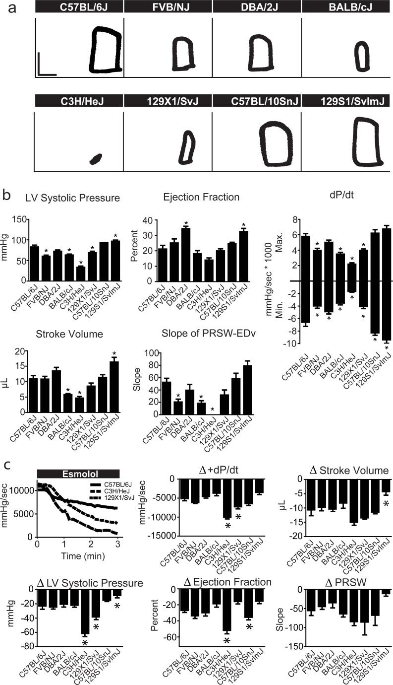 Figure 2-7. In vivo hemodynamic function of inbred mouse strains during beta-blockade.