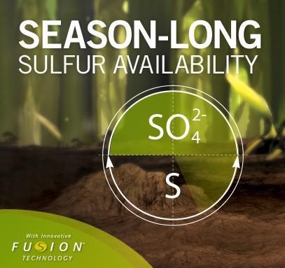 Two Forms of Sulfur Season-Long Availability 50% Sulfate Sulfur for immediate availability to