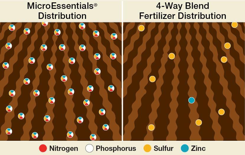 Uniform Nutrient Distribution Through our patented Fusion manufacturing process: Same analysis within every granule Nutrients