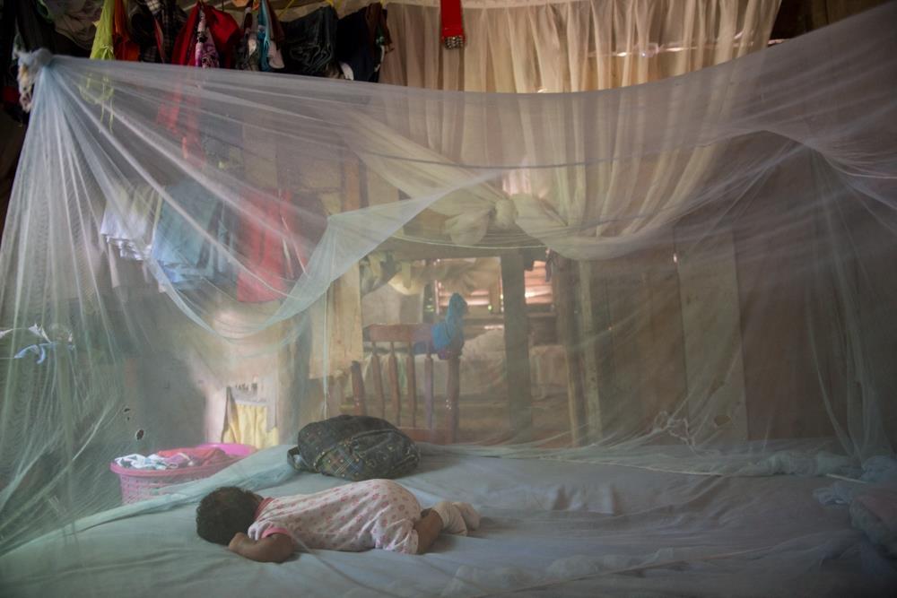 Barrier against mosquitoes A baby sleeps under a bed net, protected against mosquitoes that can transmit the chikungunya