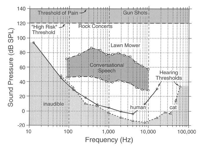 Understanding Decibels Sound Pressure Levels and Frequencies Relevant to Mammalian Hearing 0 db means that the intensity or pressure level is equal to the reference db > 0 gain or amplification with
