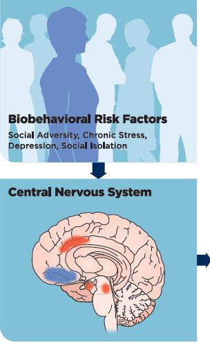 How Are Behavioral Risk Factors Biologically Transduced To