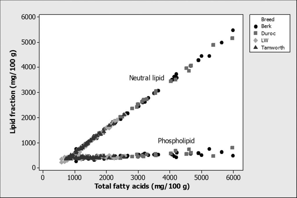 Figure 1. Concentrations of neutral lipid and phospholipid fatty acids (mg/100 g) plotted against total fatty acids (mg/100 g) in longissimus muscle of 4 pig breeds (Wood et al., 2004).