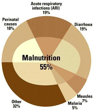 malnutrition is poor nutrition due to: -Lack of