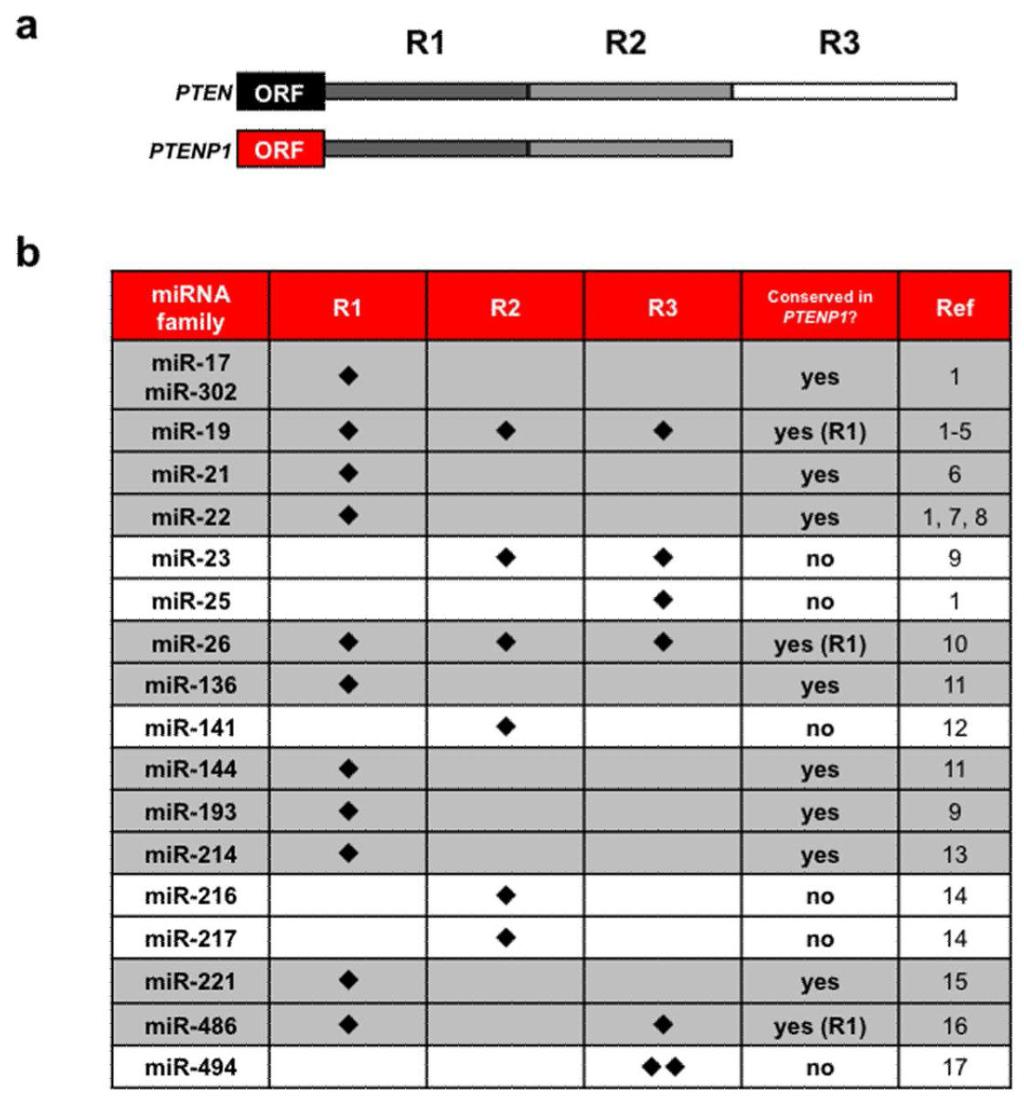 Poliseno et al. Page 5 Figure 1. PTEN- and PTENP1-targeting micrornas a. Schematic representation of PTEN and PTENP1 3 UTR.